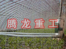 大棚花卉供暖設(shè)備、大棚卉采暖設(shè)備、大棚花卉取暖設(shè)備